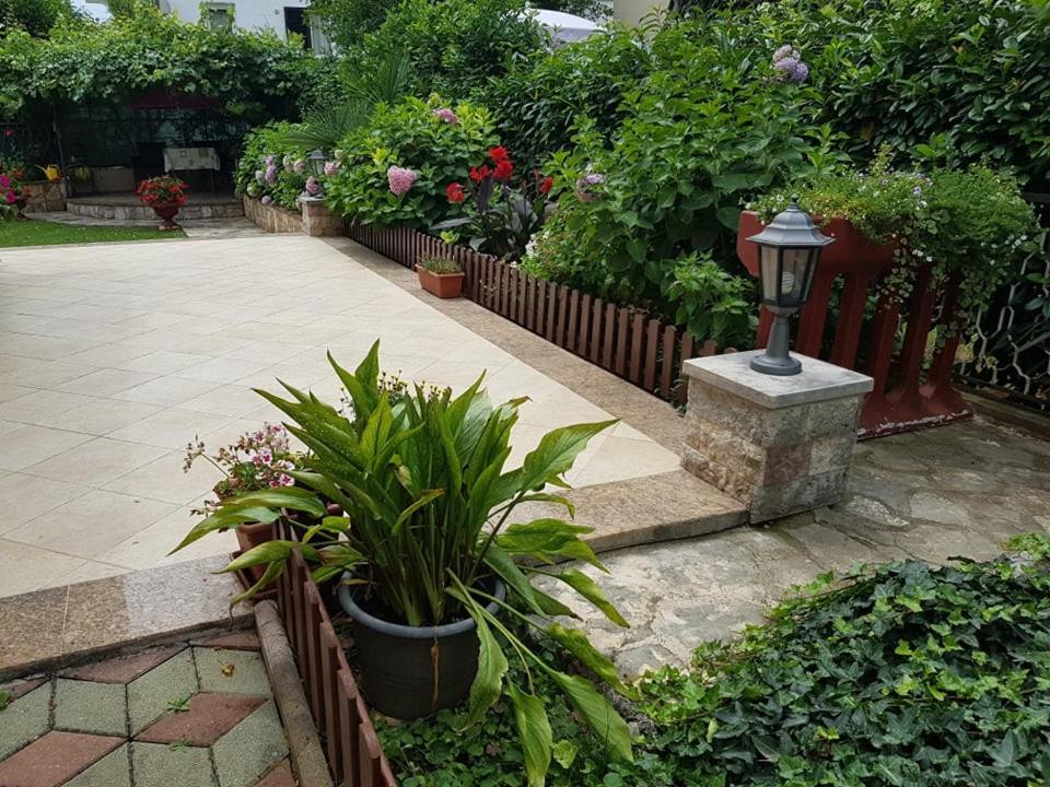 Villa Diana Apartments Porec Exterior photo